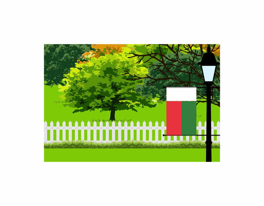 Madagascar Trees Street Lamp Canvas Print Framed